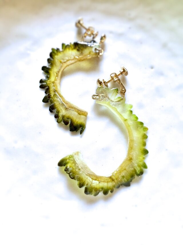 ほんものゴーヤの押し野菜イヤリングの画像1枚目