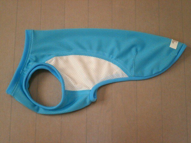 犬服 S様オーダーメイド品:ウィペット用タンクトップ(水&白)の画像1枚目