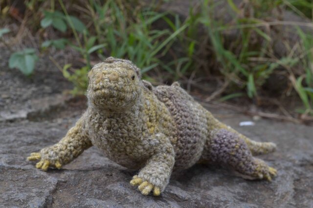 リクイグアナのあみぐるみの画像1枚目