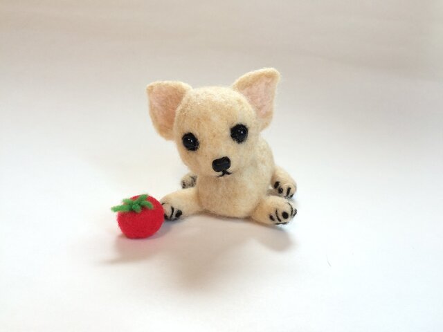 小さなチワワドール 夏野菜と共にの画像1枚目