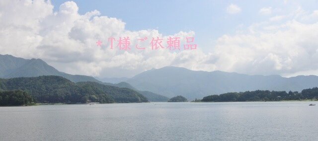 *T様ご依頼品の画像1枚目