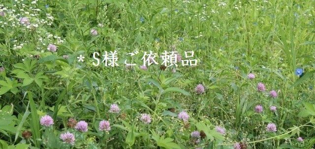 *S様ご依頼品の画像1枚目