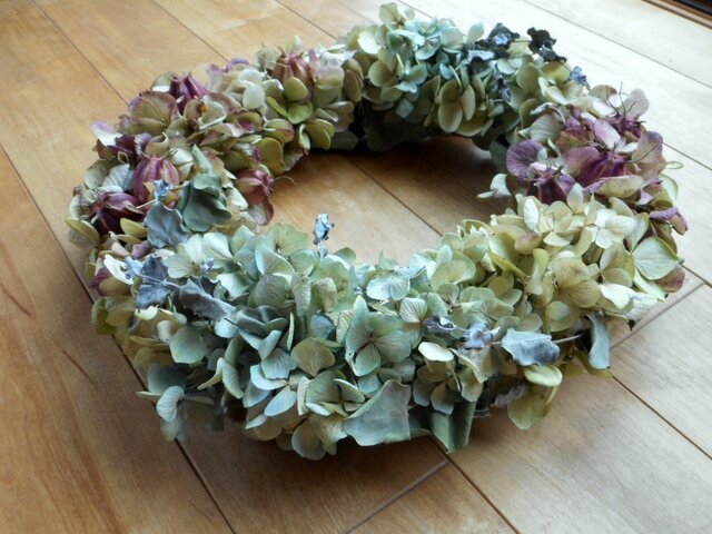 秋の紫陽花の画像1枚目