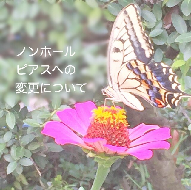 ノンホールピアスへの変更についての画像1枚目