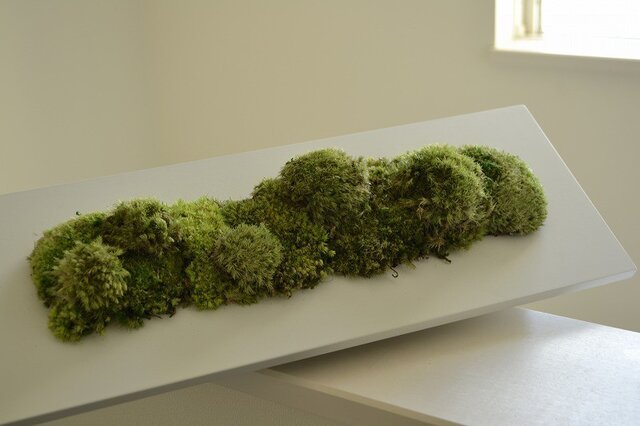 Interior Art greenの画像1枚目