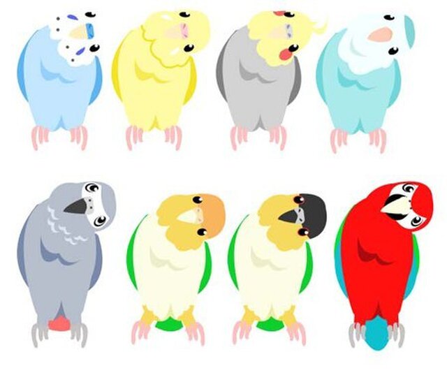 首かしげインコステッカー【Aセット】の画像1枚目