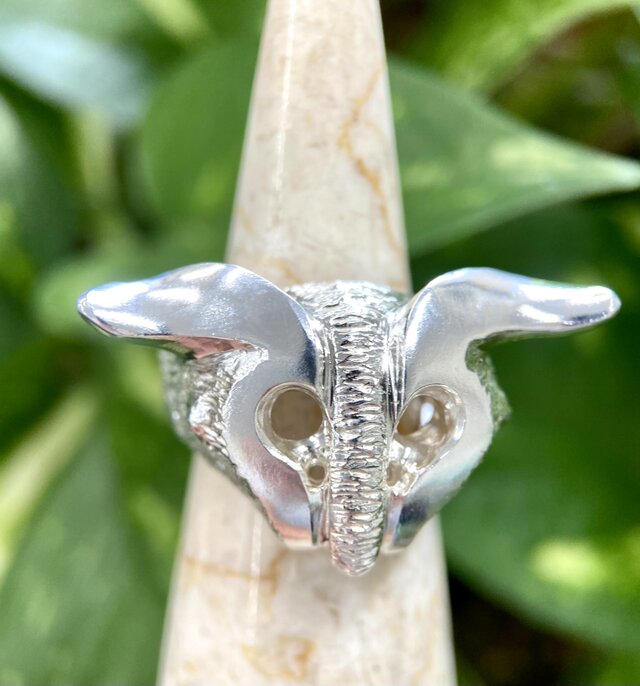 作者もわからない生命体...地球外生物SILVERリング