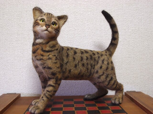 ねこ図鑑 ベンガル ブラウンスポッテッドタビー | iichi 日々の暮らし