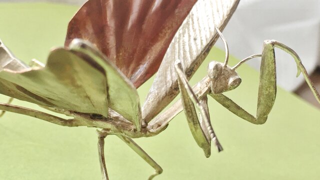 威嚇するオオカマキリのオブジェ