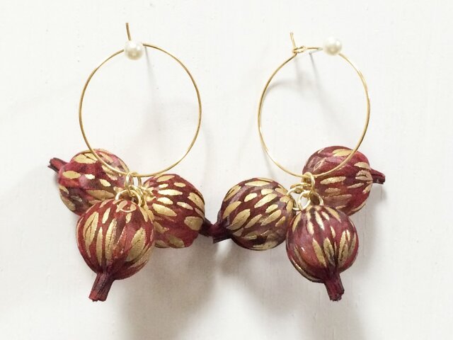 Quguri「Seeds べに」の画像1枚目