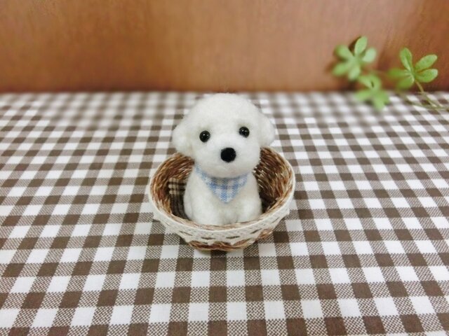 モコモコトイプ~ちゃん(白)☆の画像1枚目