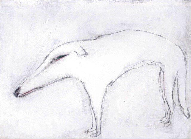 dogの画像1枚目