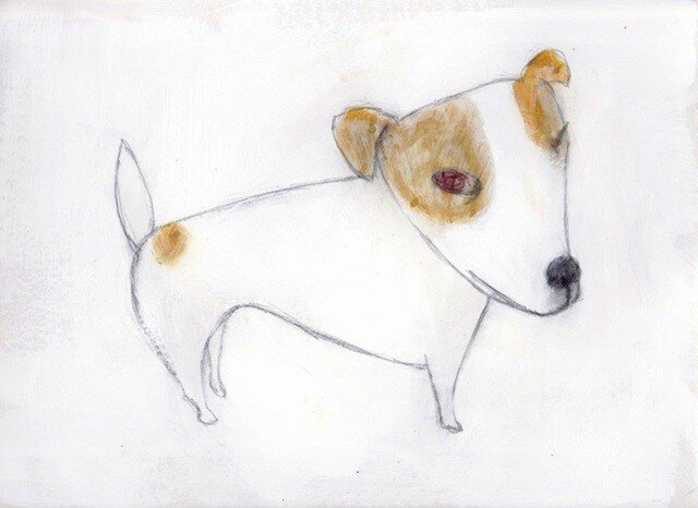 dogの画像1枚目