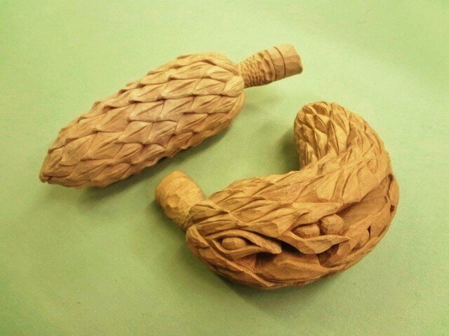 ホウノキの実のカップルの画像1枚目