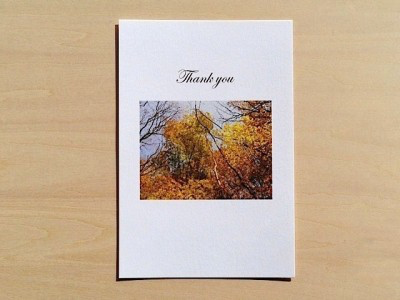 秋の森のお礼状はがき Iichi ハンドメイド クラフト作品 手仕事品の通販