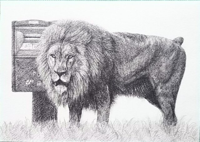 ライオンの鉛筆画ポストカード - インテリア