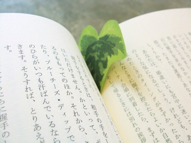 ivy paper(アイビーペーパー)の画像1枚目