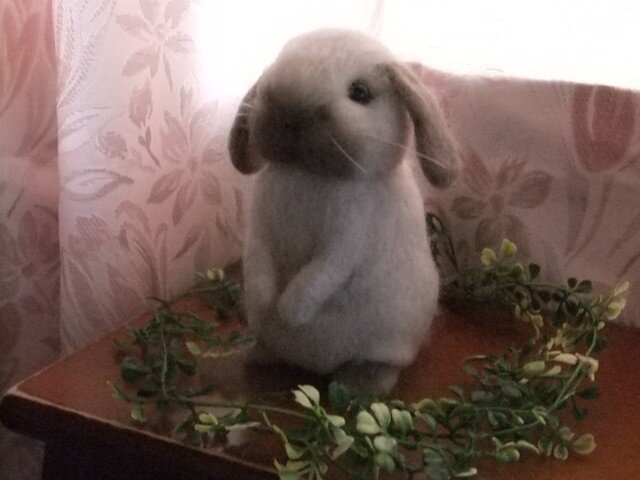 ふわふわ たれ耳うさぎ の画像1枚目