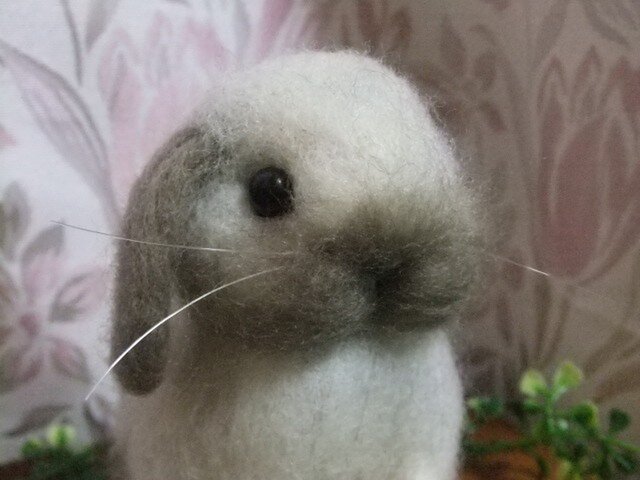 ふわふわ たれ耳うさぎ | iichi 日々の暮らしを心地よくする