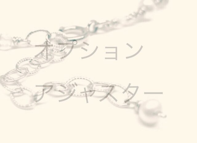 オプション*アジャスターの画像1枚目