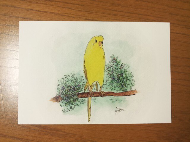 ﾁｬﾘﾃｨｰポストカード３枚組 あそこ気持ちよさそう Iichi ハンドメイド クラフト作品 手仕事品の通販