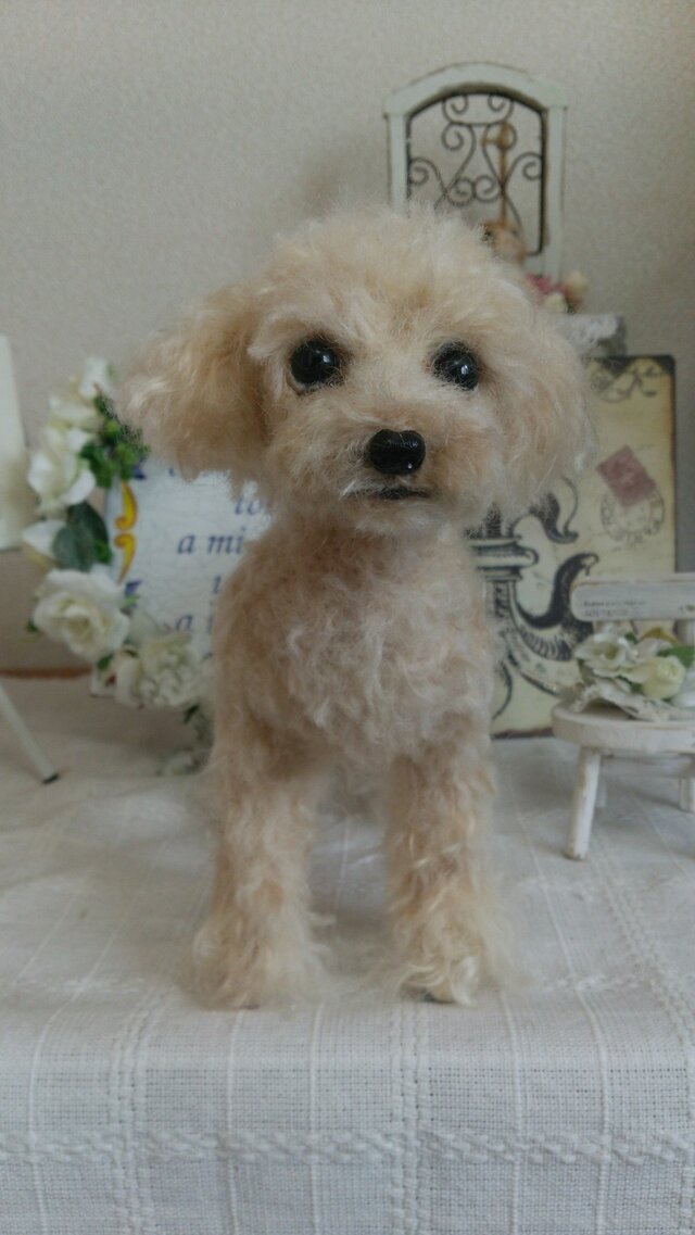 羊毛フェルト トイプードル クリームの画像1枚目