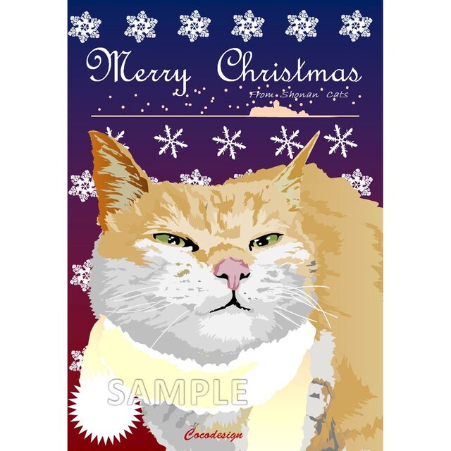 ポストカード 湘南Catsのクリスマス ⑥ シルバー猫の画像1枚目