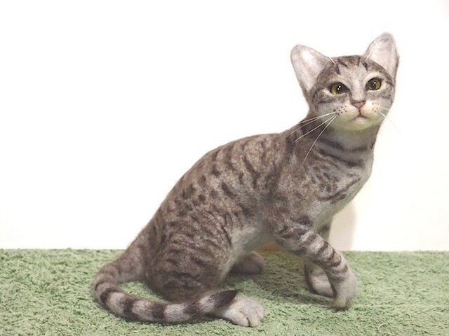 ねこ図鑑 オシキャット ブルー・シルバー スポッテッドタビー | iichi