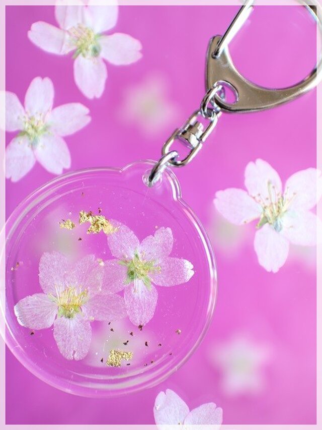 日本の花はやっぱり桜！啓翁桜の押し花キーホルダー （丸） | iichi