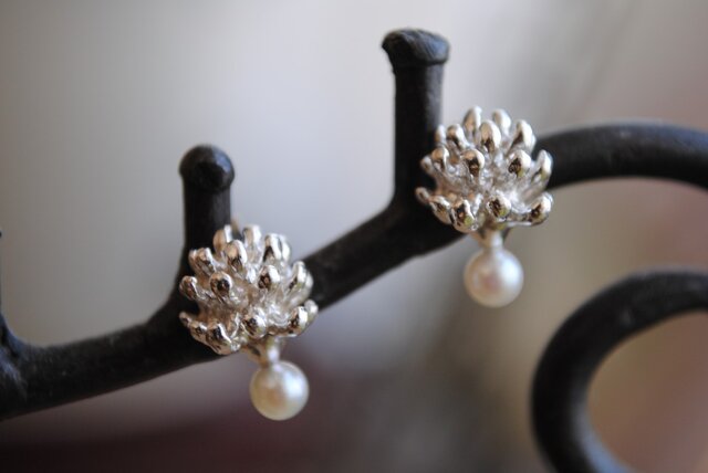 【受注制作】パール付きミニしろつめ草の花ピアス(上向き)の画像1枚目