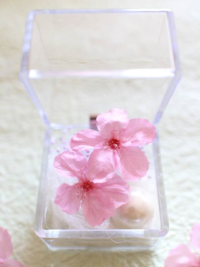 桜のプリザーブドフラワー「ミニキューブ・さくら（ピンク色）」 iichi ハンドメイド・アンティーク・食品・ギフト・手作り