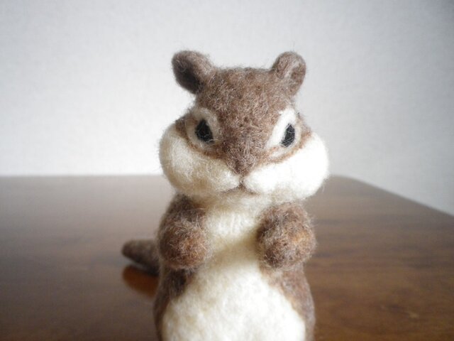 リスさんの画像1枚目