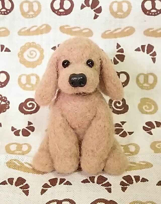 いぬ 1の画像1枚目