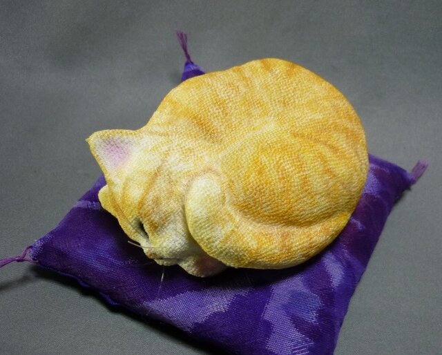 アンモニャイト 茶トラ猫さんの画像1枚目