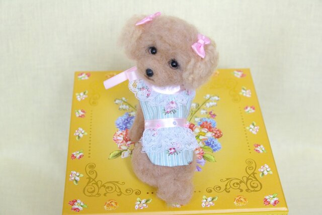 見返り トイブードルちゃん 犬の画像1枚目