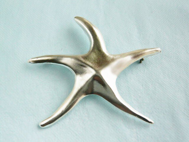 sea☆star ブローチの画像1枚目