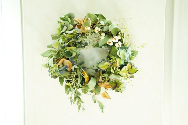 green spring wreath 20㎝の画像1枚目