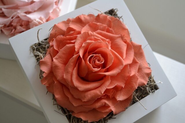 Rose gift oの画像1枚目