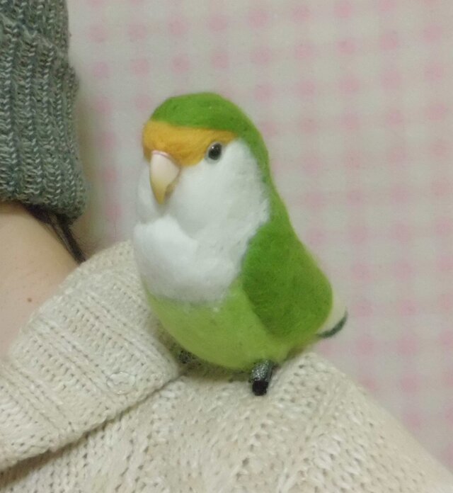 コザクラインコ ブルーチェリー系(クリップから足へ変更作成可）ライフ