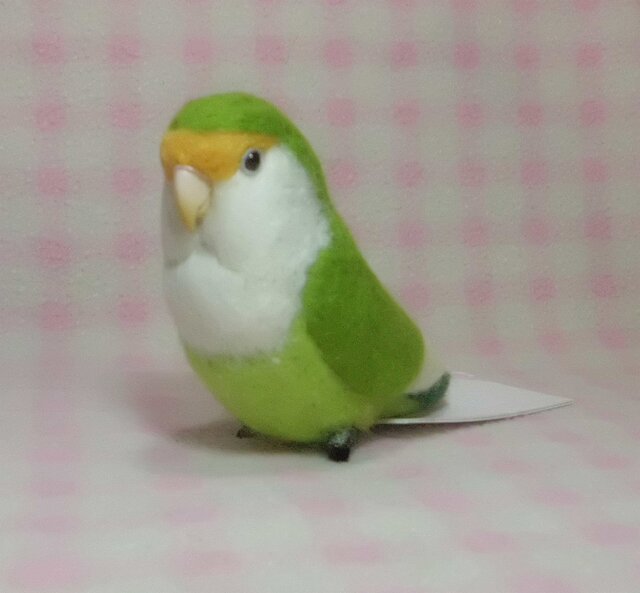 コザクラインコ ブルーチェリー系(クリップから足へ変更作成可）ライフ