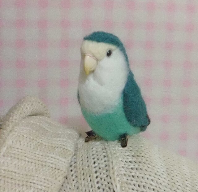 コザクラインコ コバルト系 (クリップから足へ変更作成可）ライフ