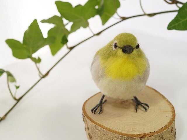 メジロ 正面向き | iichi 日々の暮らしを心地よくするハンドメイドや