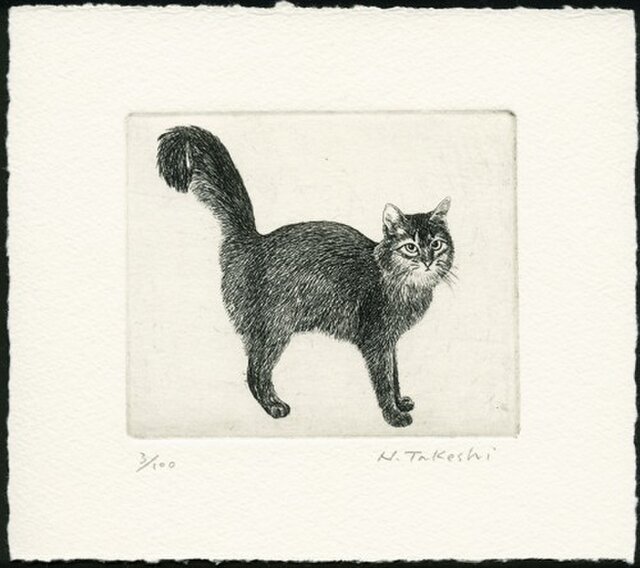 シッポの大きな猫 / 銅版画 (作品のみ)の画像1枚目