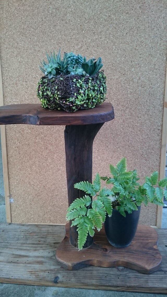 流木と古材を使った植物置きの画像1枚目