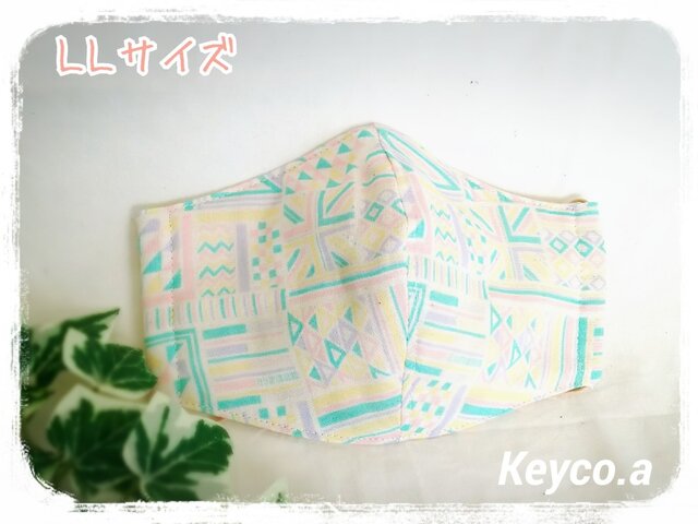 立体マスク(LL)(ワイヤー入)*パステルネイティブの画像1枚目