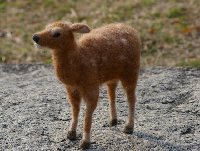 フェルト、鹿の画像1枚目