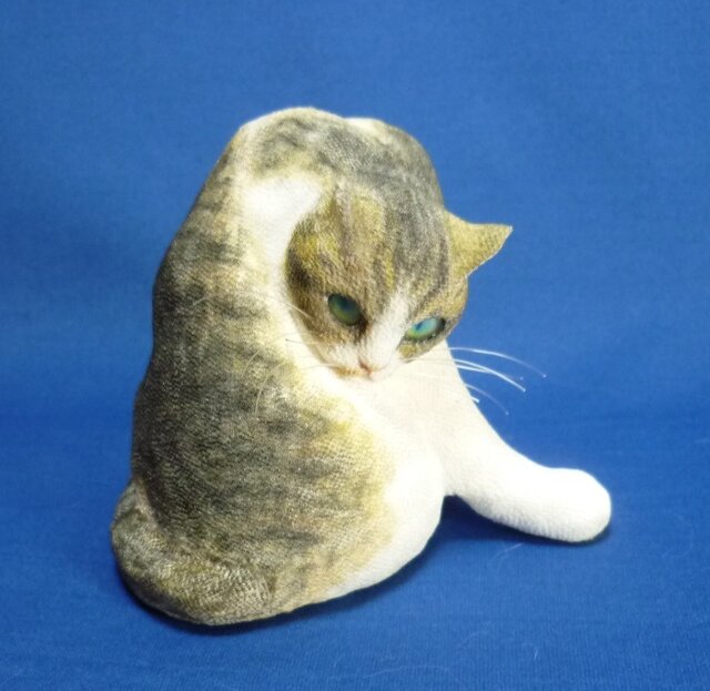 班猫 の画像1枚目