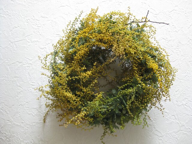 ミモザwreath-枝の画像1枚目
