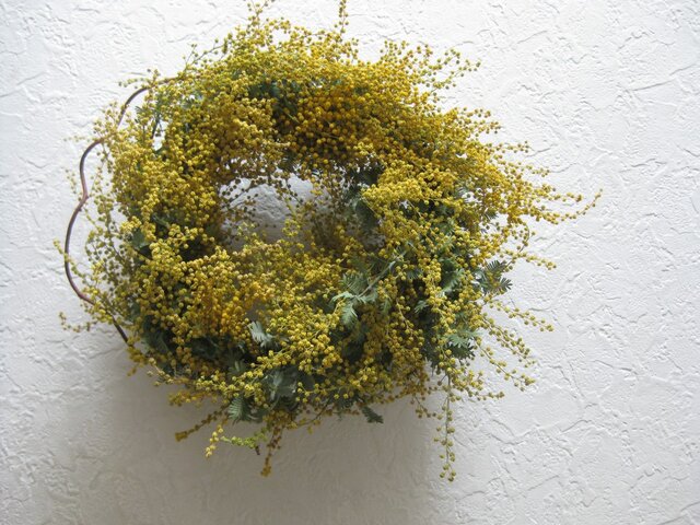 ミモザwreath-蔓の画像1枚目