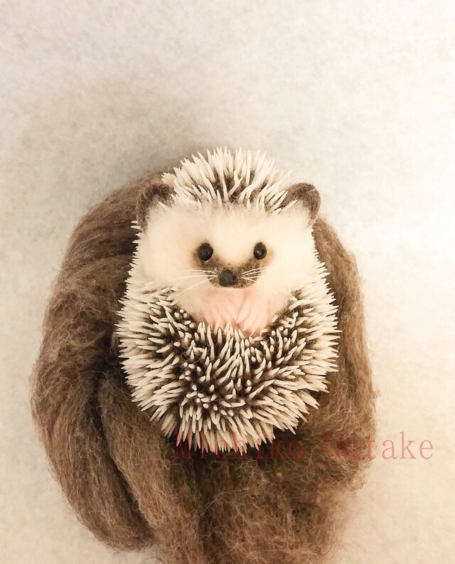 ハリネズミ ウニポーズの画像1枚目